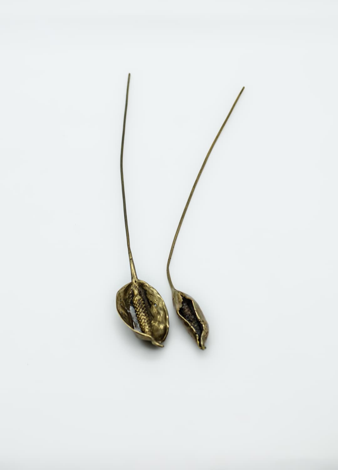 Fleure anthurium en bronze cover image