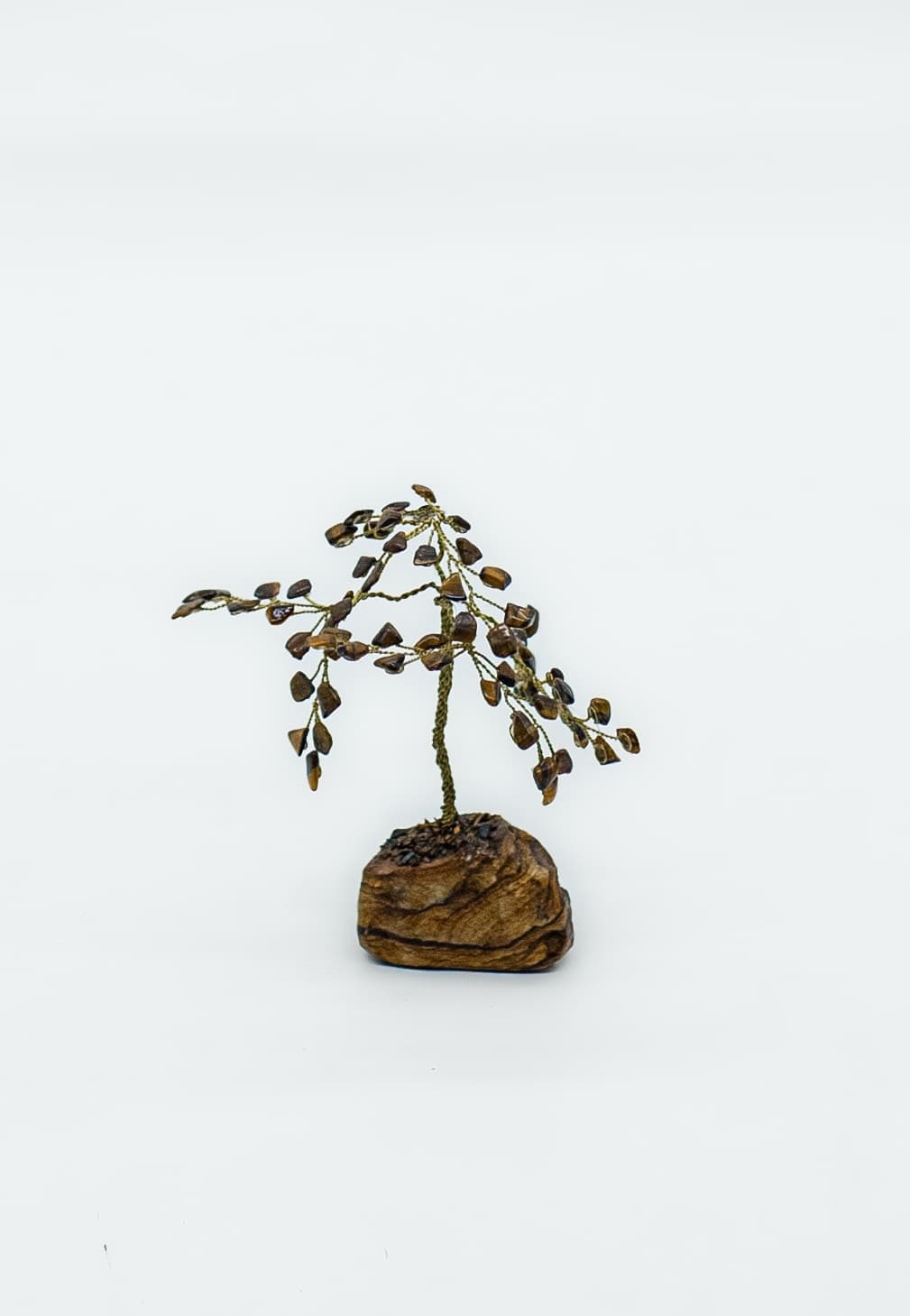 Arbre à pierre  cover image