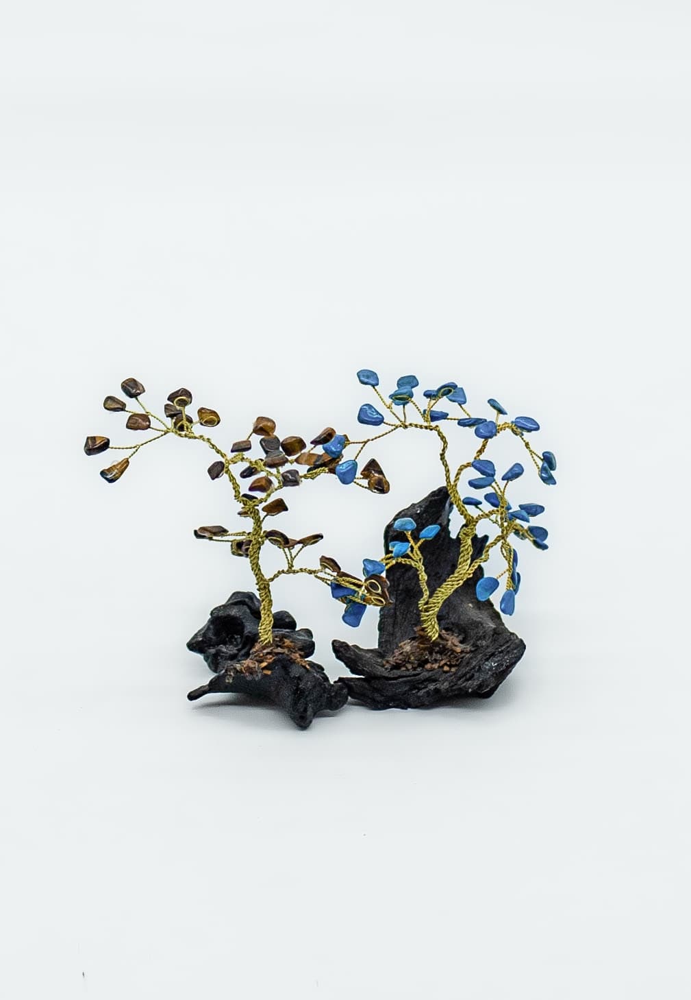 Arbre à pierre  cover image
