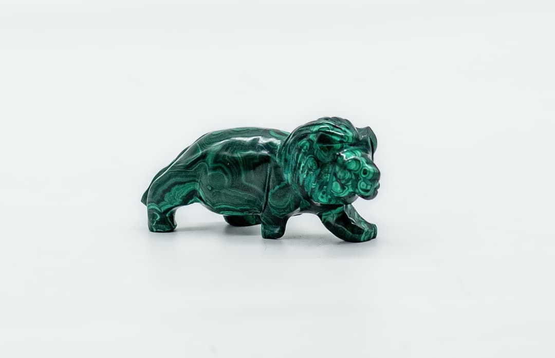 Lion en Malachite cover image