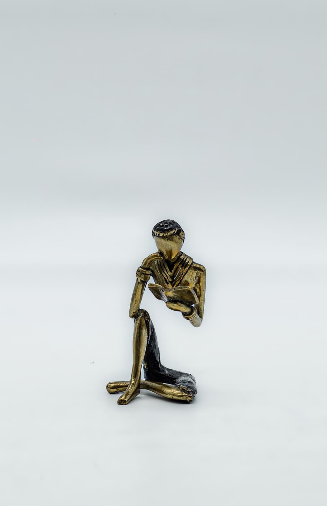 Le lecteur  cover image