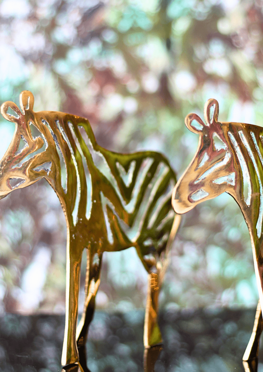 Zèbre en bronze cover image